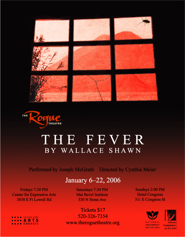 Poster for 'The Fever'